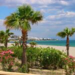 ¿Qué día es el mercadillo de Mojácar? que-dia-es-el-mercadillo-de-mojacar