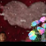 ¿Qué día es el mercadillo en Roses? que-dia-es-el-mercadillo-en-roses