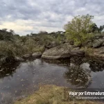 El Parque Natural de Cornalvo: un oasis de naturaleza cerca de Mérida el-parque-natural-de-cornalvo-un-oasis-de-naturaleza-cerca-de-merida